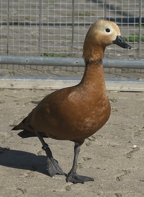 锻炼