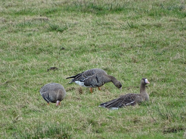 的一个最佳 的一个最佳