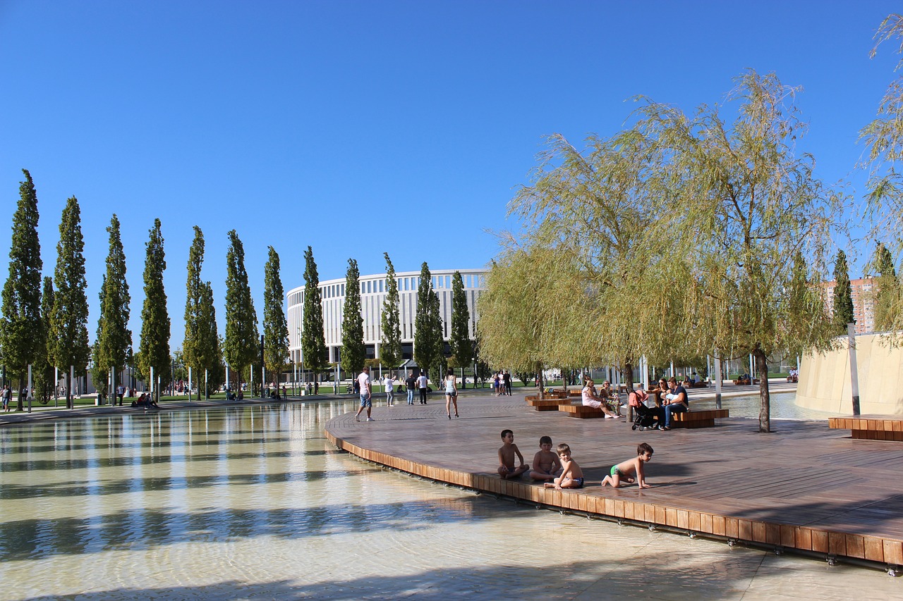 成长历程无 成长历程无