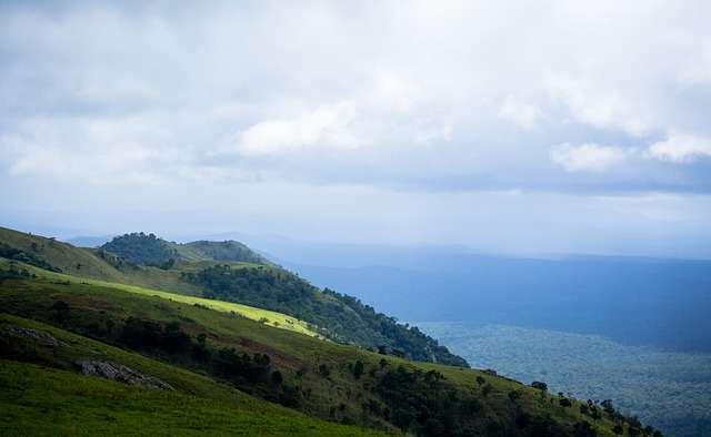 长期影响 长期影响