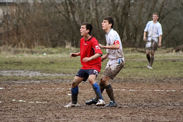 屏幕搭档 屏幕搭档