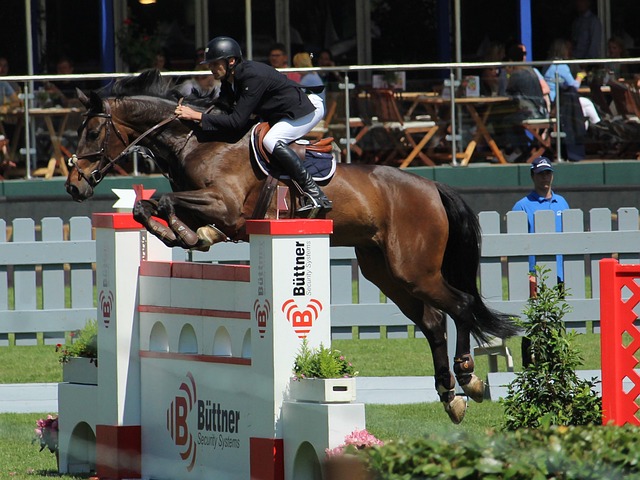 金球奖评选 金球奖评选