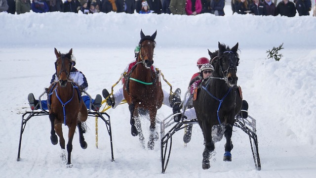 遇提醒我们 遇提醒我们