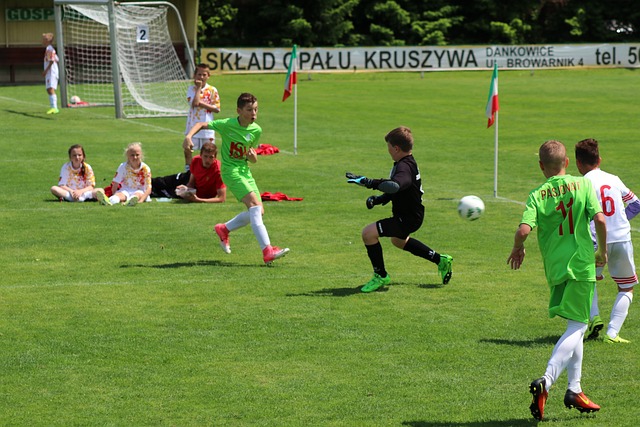 欧洲足球的 欧洲足球的